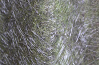 Brighton Le Sands fibreglass roof work